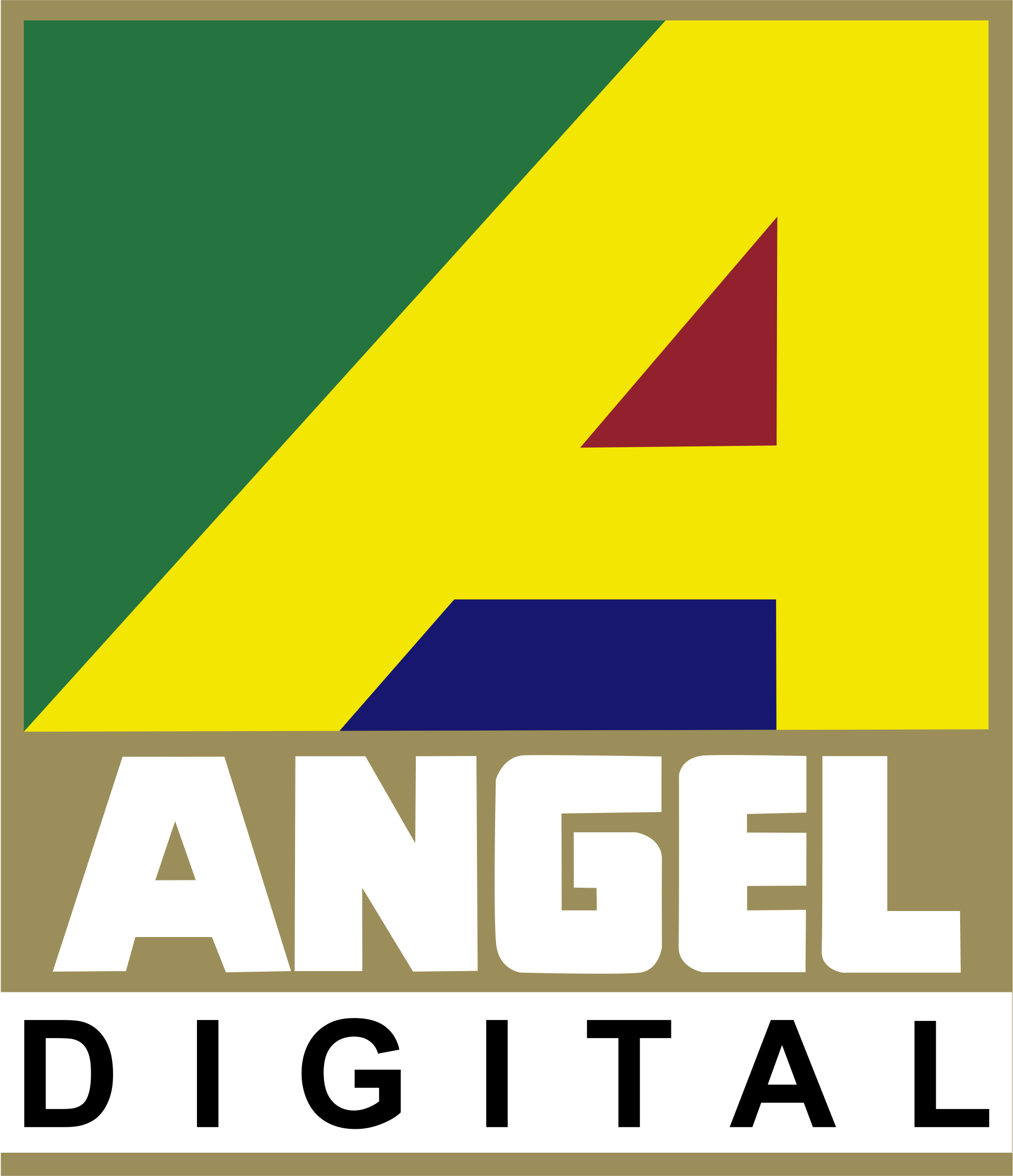 Angel Television Pvt Ltd